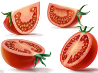 Tomate, Rot, Red, Tomatoes, Green, Grün, Branch, Ast, Zweig, Schnitt, Querschnitt, Durchleuchtend, Durchsichtig, Illustration, Saft, Verpackung